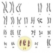 cromosoma