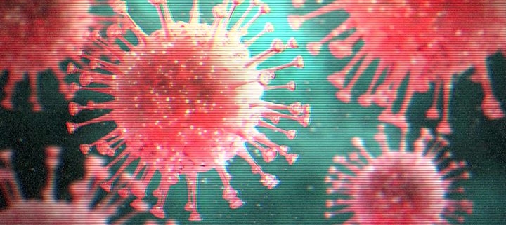 Immagine ingrandita del coronavirus