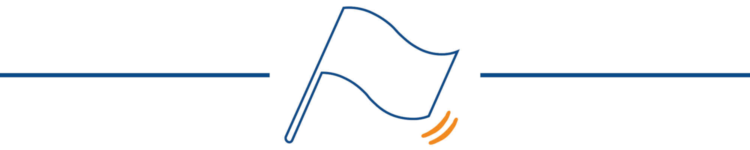 Sezione Missione. Illustrazione stilizzata di una bandiera.